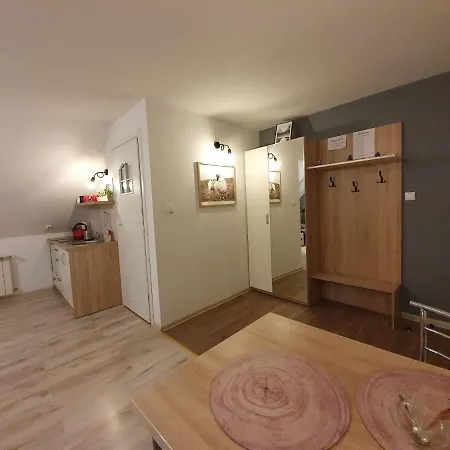 Apartament Jaskier Zakopane Exteriér fotografie